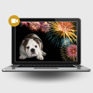 PRZYGOTUJ PSA W 30 DNI NA ŚWIĘTA I SYLWESTRA BEZ STRESU. Plan działania krok po kroku