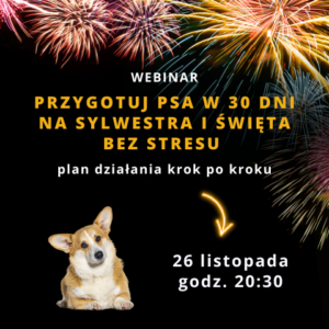 Sylwester i Święta jak przygotować psa