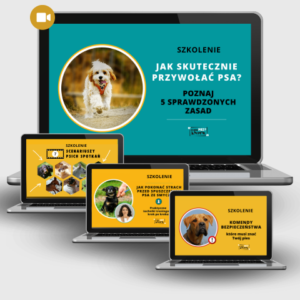 Jak przywołać psa _ jednorazowa oferta