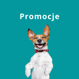 PROMOCJE